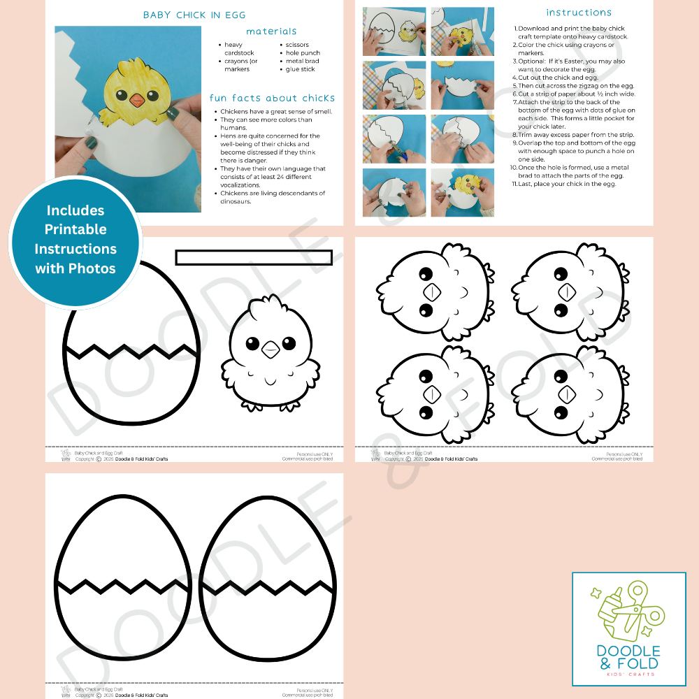 Baby Chick and Egg Craft