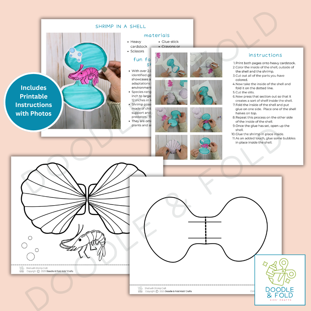 Pop-up Shell Card with Hidden Shrimp Inside
