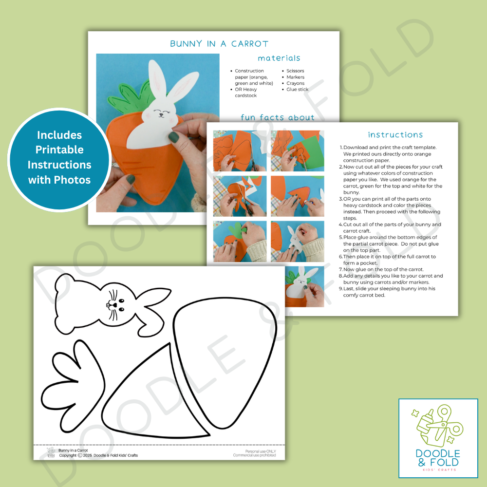 Sweet Bunny in a Carrot Craft