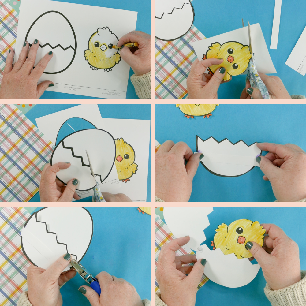 Baby Chick and Egg Craft
