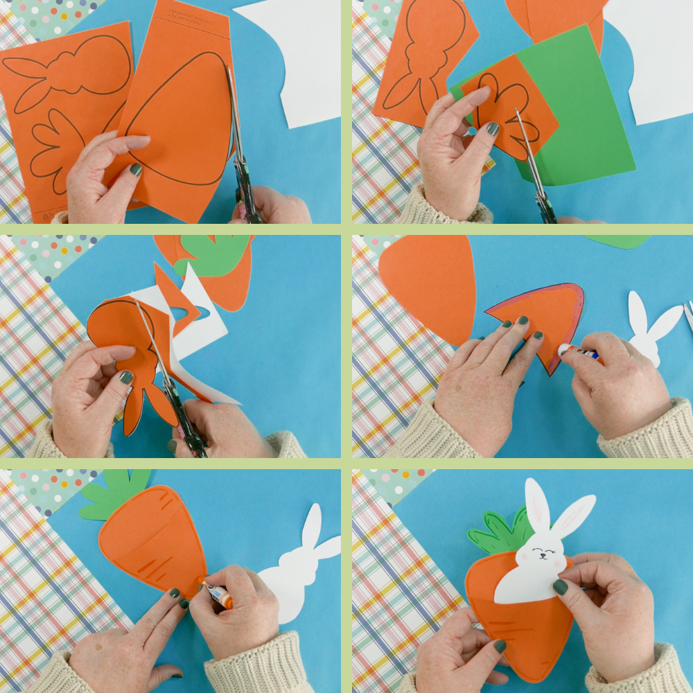 Sweet Bunny in a Carrot Craft