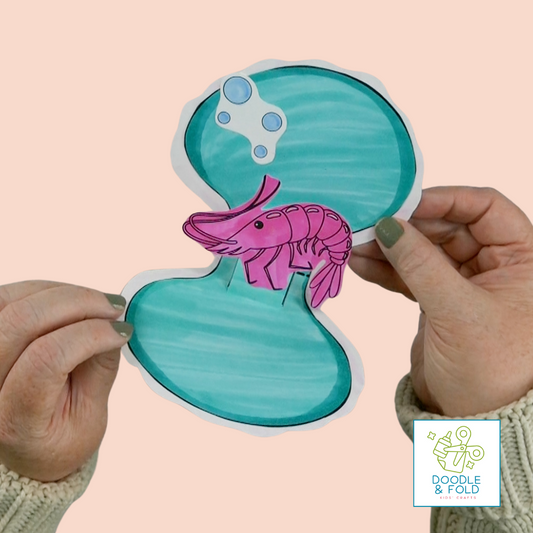 Pop-up Shell Card with Hidden Shrimp Inside